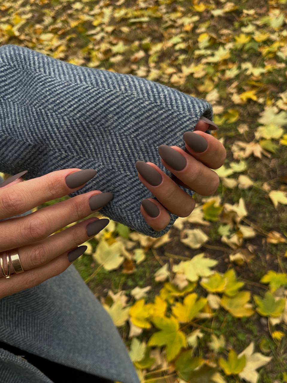 Color Gel 313 "Slatewoood"