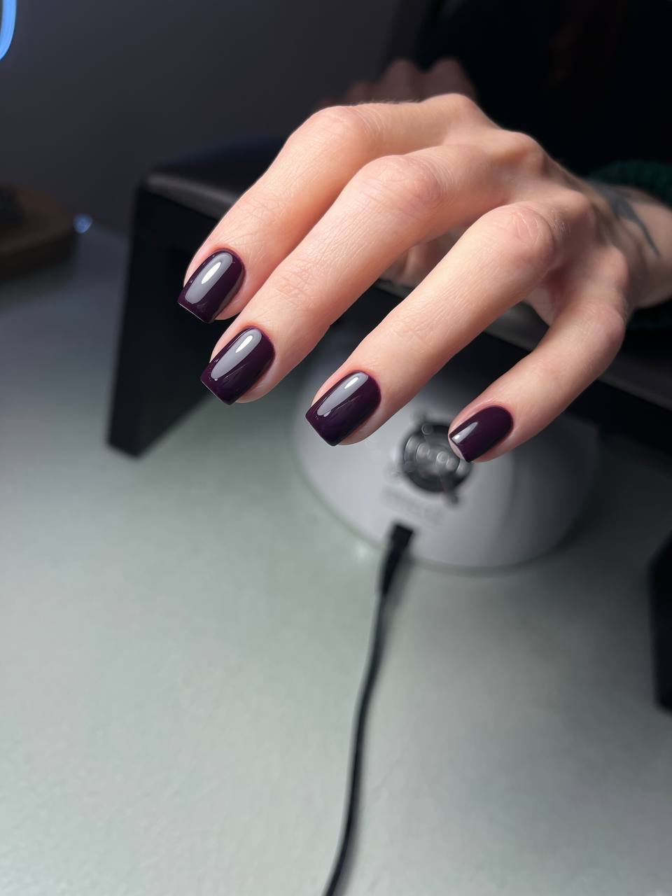 Color Gel 713 "Royal plum"