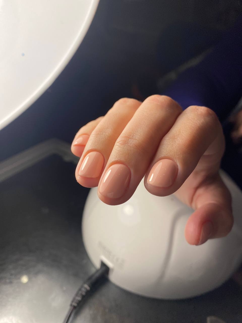 Color Gel 131 "Venice"