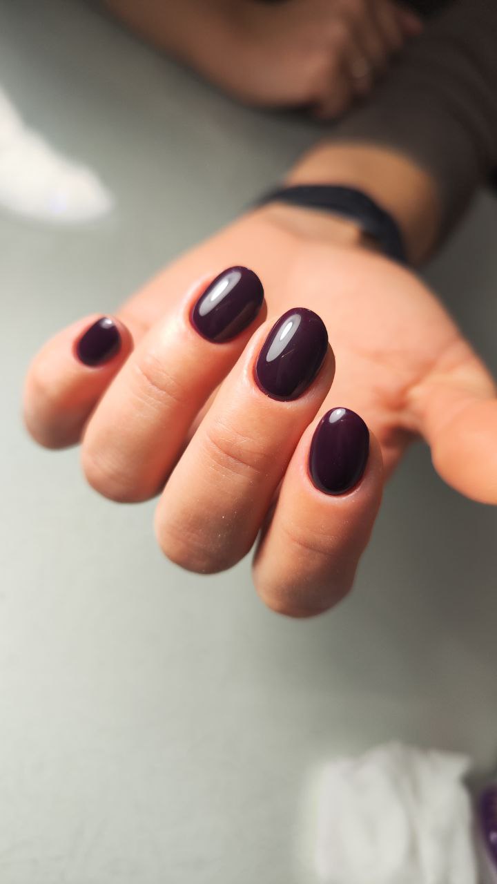 Color Gel 713 "Royal plum"