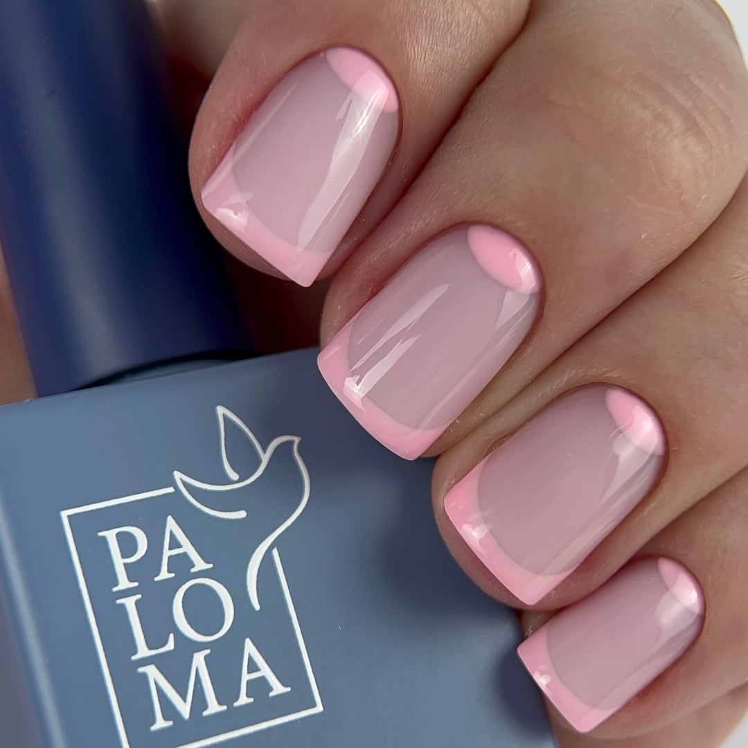 Paloma Discovery Box