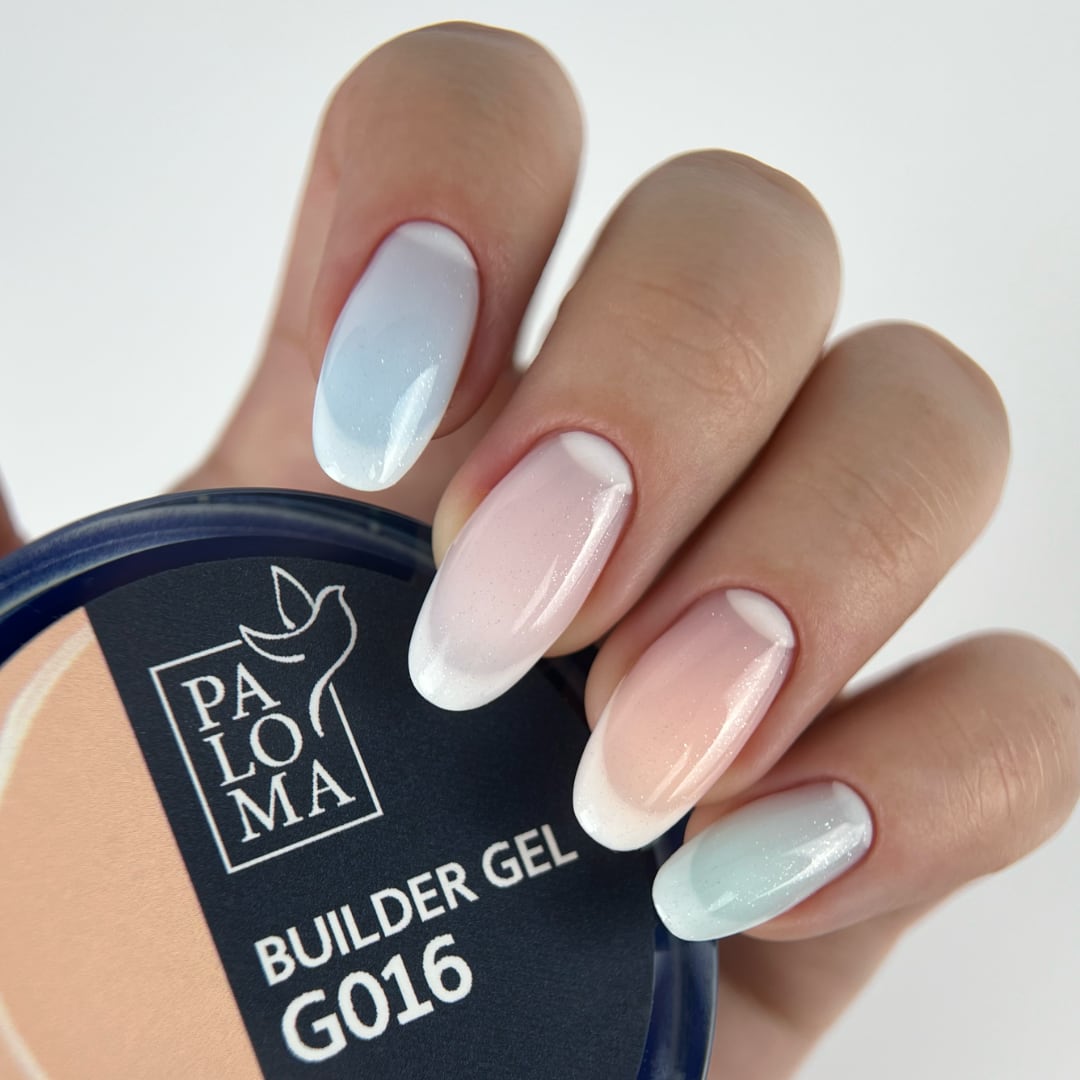 Paloma Discovery Box