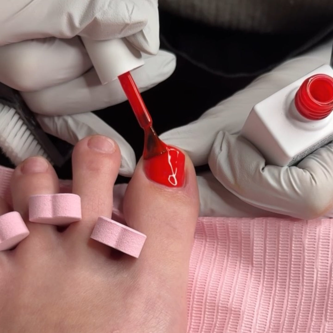 Paloma Discovery Box